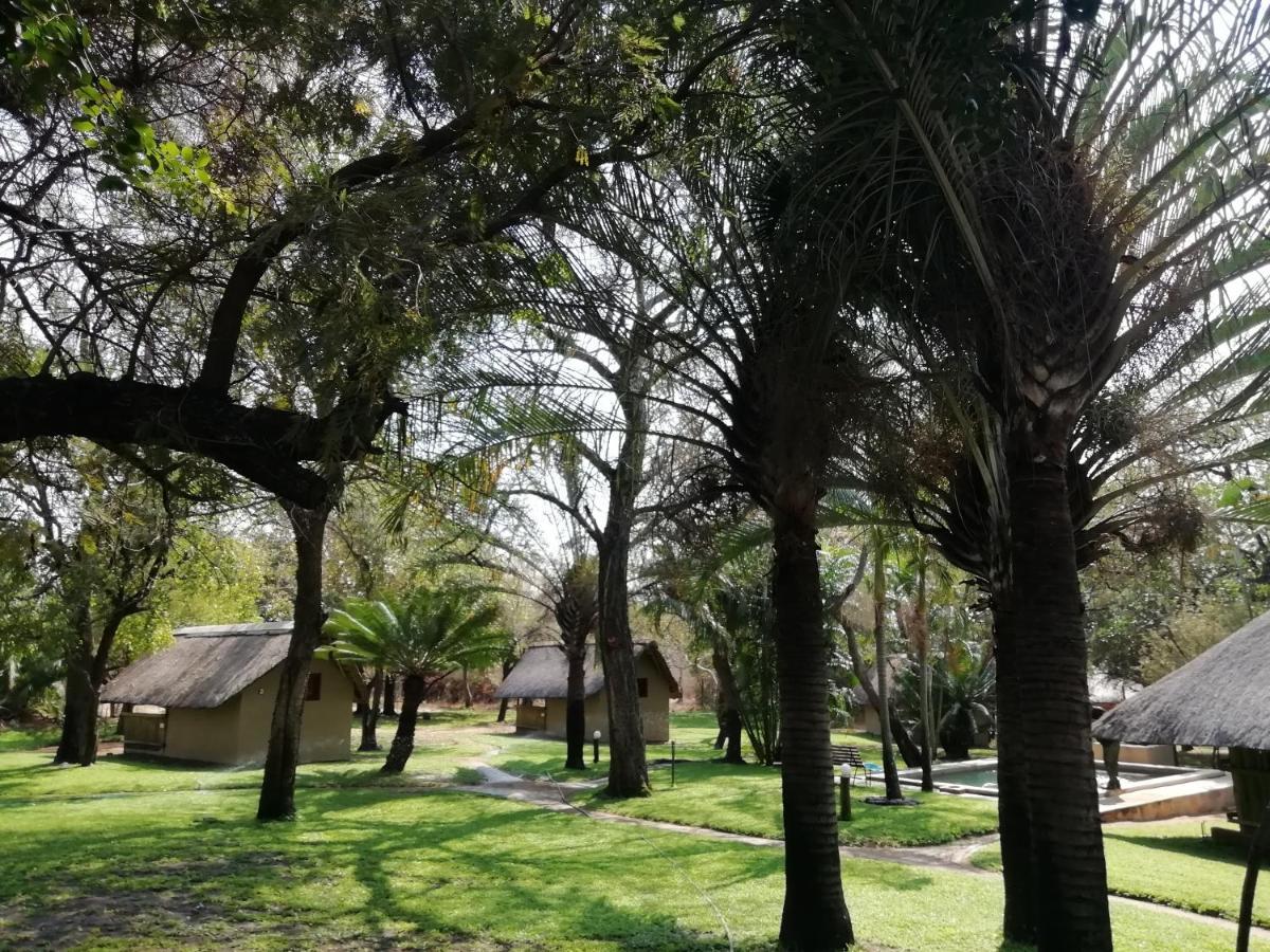 Villa Shumba Safari Bush Camp Hoedspruit Esterno foto