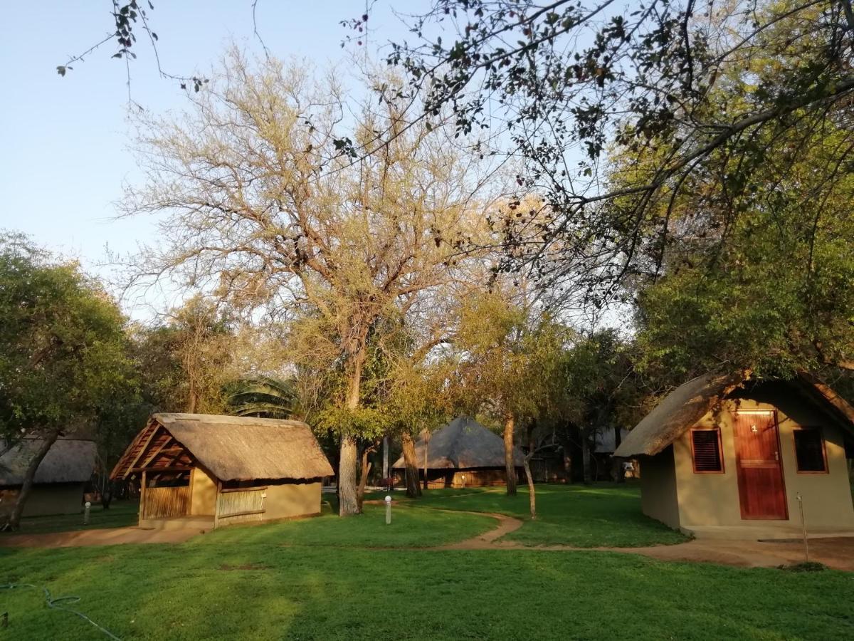 Villa Shumba Safari Bush Camp Hoedspruit Esterno foto