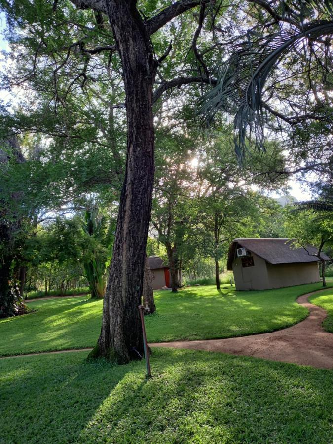 Villa Shumba Safari Bush Camp Hoedspruit Esterno foto