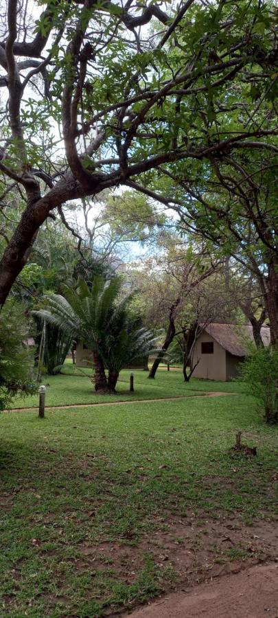 Villa Shumba Safari Bush Camp Hoedspruit Esterno foto