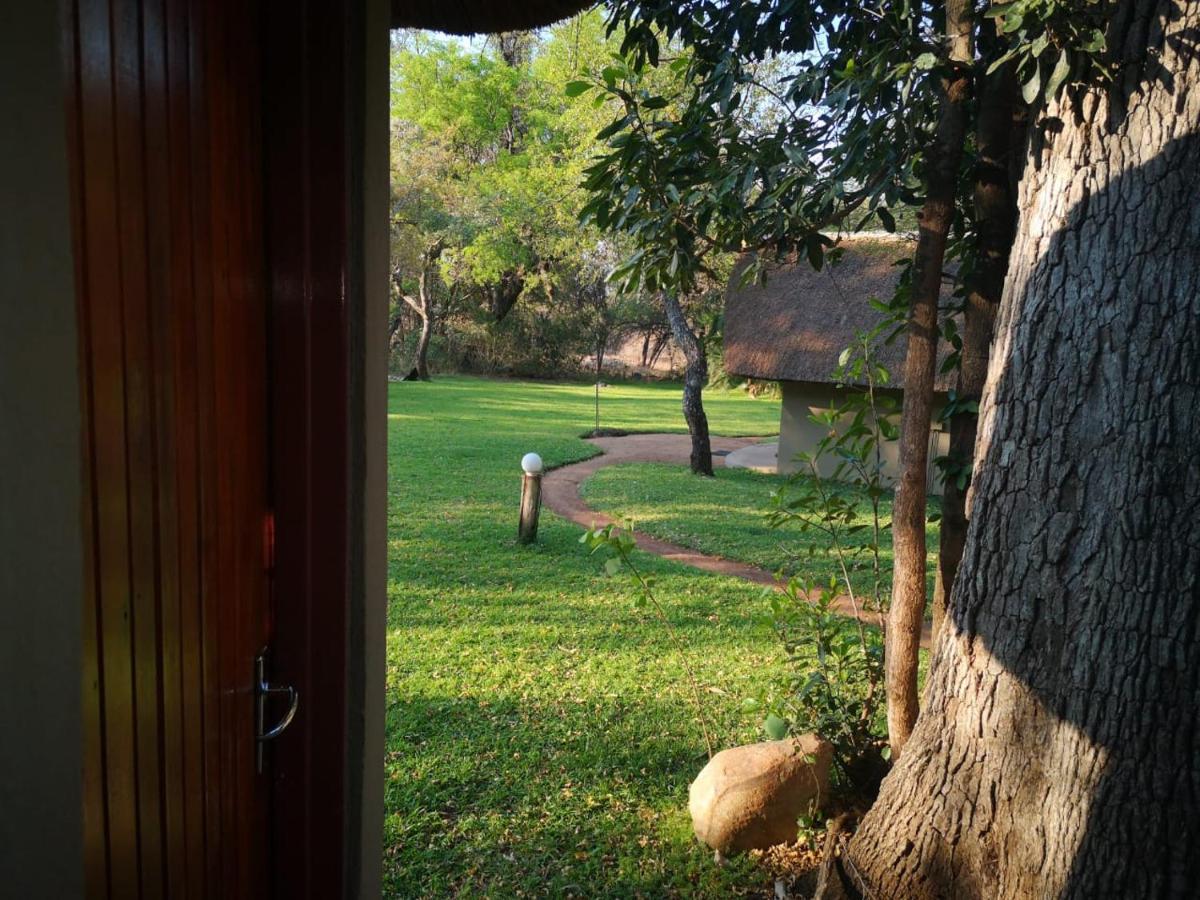 Villa Shumba Safari Bush Camp Hoedspruit Esterno foto